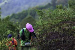 BIB: 20681
                            <button type="button" onclick="openModal(24763909)" class="btn btn-primary btn-sm float-right btn-popup" data-toggle="modal" data-target=".modal-high-quality">
                        <i class="fas fa-shopping-cart"></i> Add to Cart
                    </button>
                                            <button type="button" onclick="isThisMe(24763909, true)" class="btn btn-success btn-sm float-right btn-popup btn-isme hidden" data-toggle="tooltip" data-placement="bottom" title="นี่คือรูปของคุณใช่ไหม คลิกที่นี่เพื่อเอาเข้าอัลบั้ม">
                        <i class="fas fa-plus"></i> Add to album
                    </button>
                    <button type="button" onclick="isThisMe(24763909, false)" class="btn btn-warning btn-sm float-right btn-popup btn-isnotme hidden">
                        <i class="fas fa-ban"></i> Remove from album
                    </button>